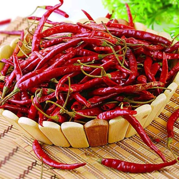 Chaotian secou pimentões vermelhos inteiros Tianjin Chili Dehydrated dos pimentões vermelhos