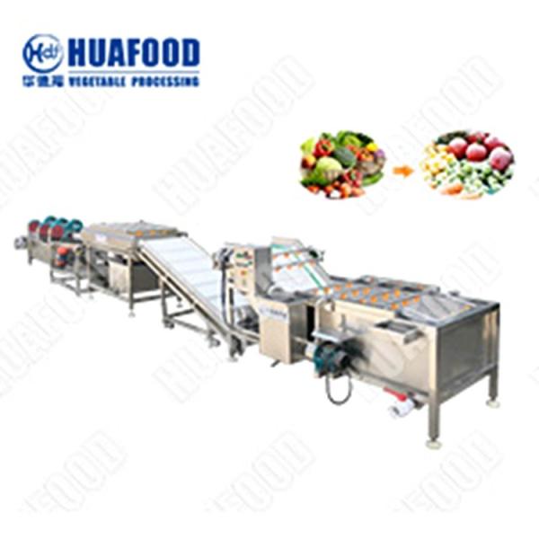 Stainless Steel Food Drying Machine Fresh Root Vegetables Washing Machine