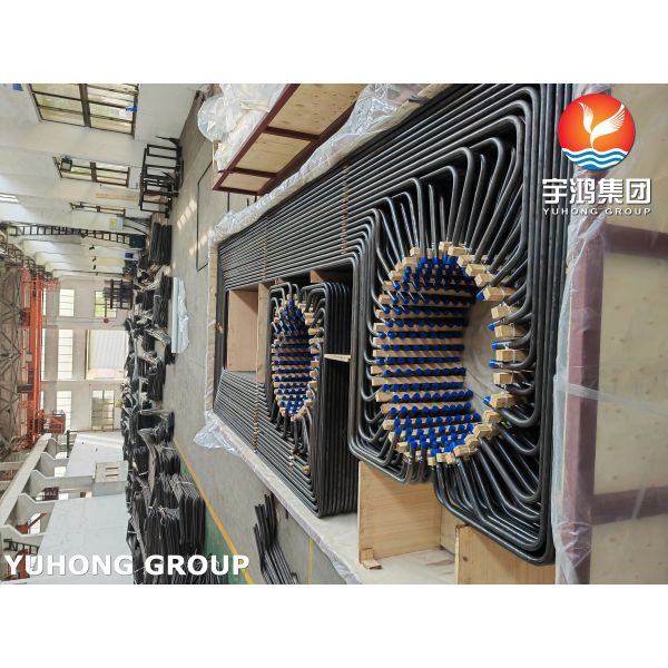 EN 10216-2 16Mo3 Alloy Steel Boiler Tube U Bend Tube Seamless Steel Boiler Tube for Economizers
