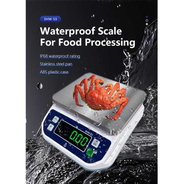6KG Capacity LED Display Waterproof Scale for Food Processing Baking and High Precision