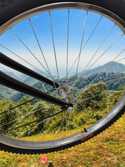 Vélosité Vélosité légère Vélosité de route en fibre de carbone avec engrenages à une vitesse