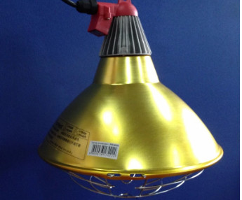 250W Pig Raising Equipment Safe And Warm LED Poultry Heat Lamp BR125 Bulb