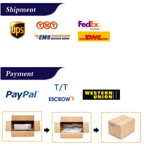 Des boucles d'oreilles en argent sterling personnaliser des bijoux 18K plaqué or Boucle d'oreille de lettre de mode