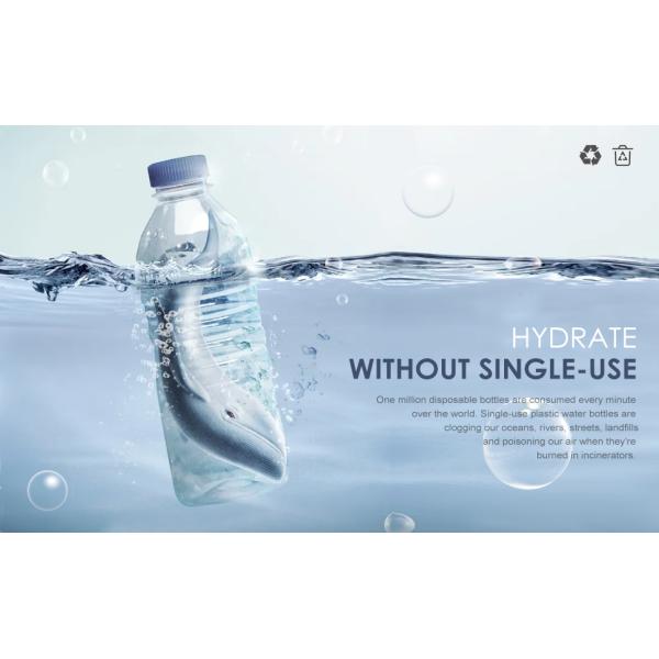 Clear Glass Water Bottles, Reusable Glass Juicing Bottles Protection Sleeve and Stainless Steel Leak Proof Lids