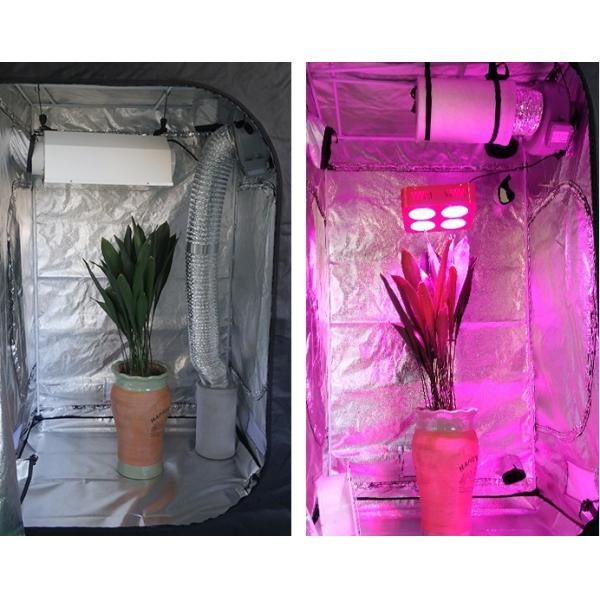 Waterproof 60*60*140cm 24*24*55 Inch Indoor Grow Tent