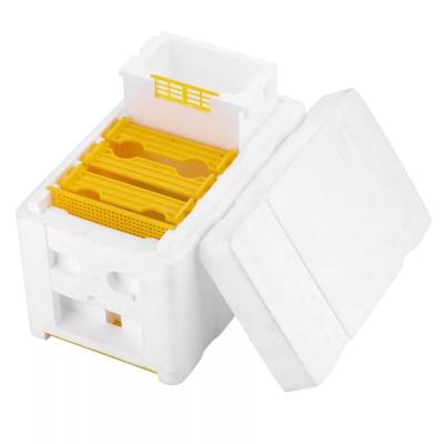 Single Layer Foam Bee Hive Equipment Mating Breeding Box Beekeeping Queen Rearing