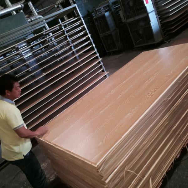 Eucalyptus Hardwood Poplar E2 22mm Melamine Faced Birch Plywood