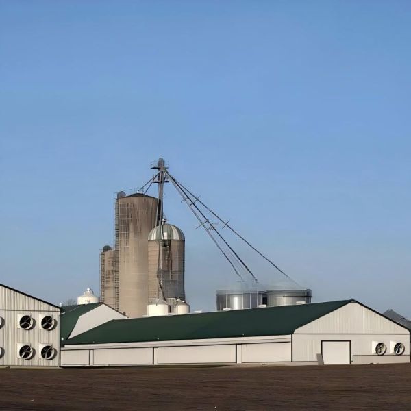Size 120m by 20m Insulated Design Prefabricated Steel Structure Chicken House