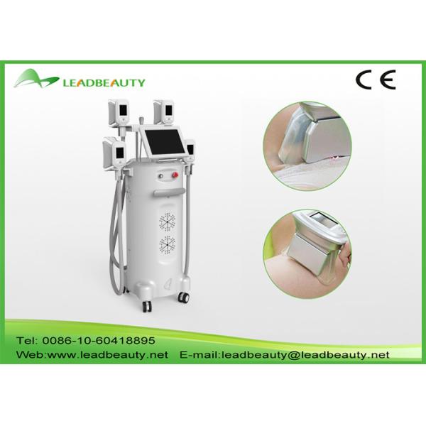 4 big power DC Fans + 4 Pure Copper Radiators cryolipolysis slimming machine