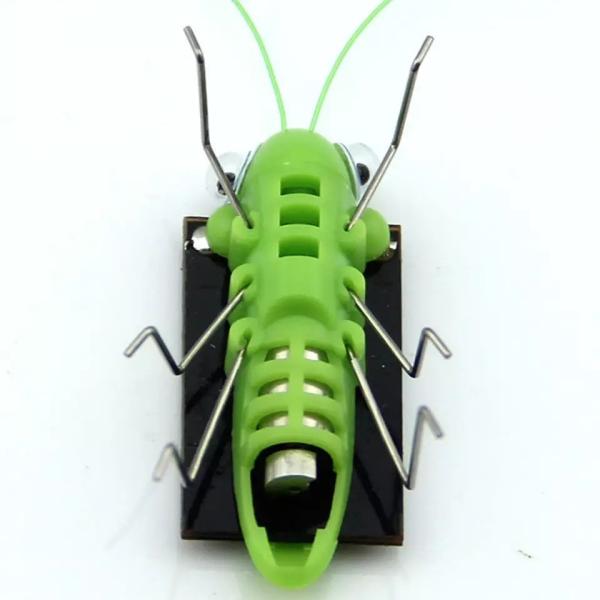 New Coming Montessori Toys Product Solar Grasshopper Other Outdoor Solar Insect Educational Solar Toy for Kids Learning