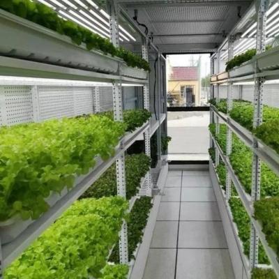 Tipo Controle Inteligente Agricultura Fazenda de contêineres hidropônicos para solicitação personalizada