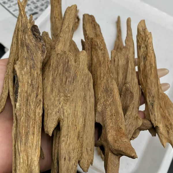 Natural OUD Agarwood resin ideal for luxury fragrance production incense manufacturing and holistic health applications