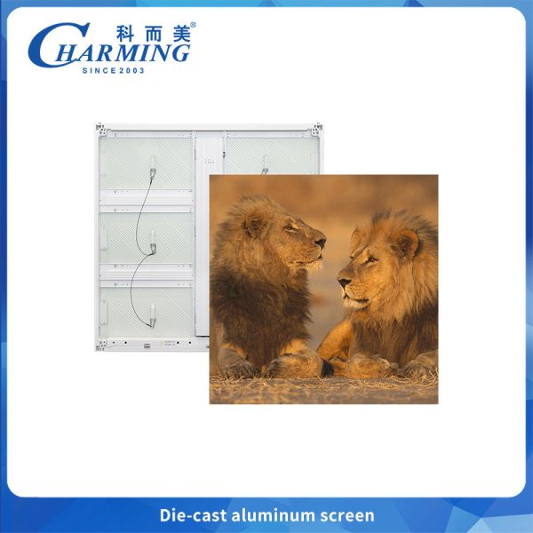Die-cast aluminum Outdoor LED display High performance P6 Led Board for advertising hard-wired architecture