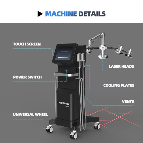 3 в 1 машине 6D Lipolaser Cryolipolysis EMS криотерапии лицевой машины для похудения