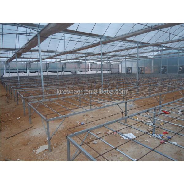 Small Column Reinforced Rod Wind Resistant Vent Window Rain Gutter Single PE Multi Span Film Greenhouse for Vegetable Flower