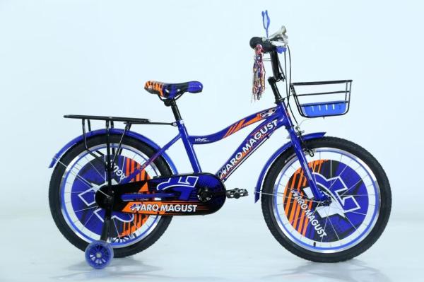 12 Kids Bicycle - Safe & Stable Beginner's Choice