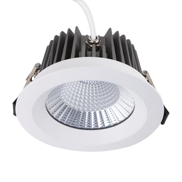 IP65 Waterproof LED Downlight with CRI >80 and >50,000 Hours Lifespan for All Spaces