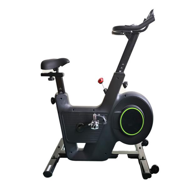 Stepless Resistance 4kg Flywheel Indoor Spin Bike for Silent Home and Gym Workout