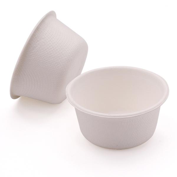 Biodegradable sugarcane salad bowls sauces tray disposable bagasse paper DIY plate mini tableware