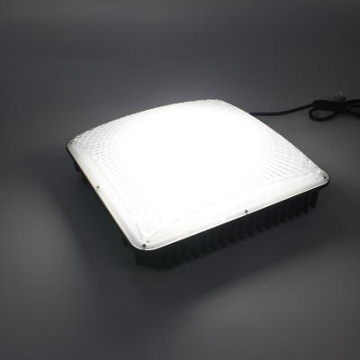 45W 60W Outdoor LED Canopy Light for Playground / Gym / Warehouse / Garage