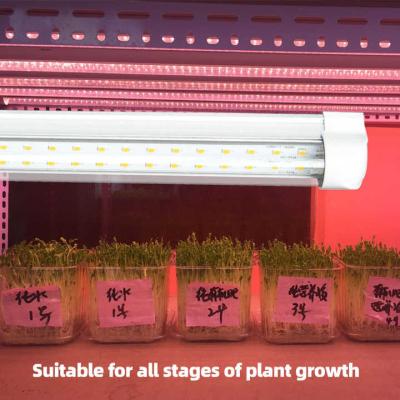 18W/36W T8 LED Grow Light Tube for Lettuce Mushroom Hydroponic Indoor Growing Stand 70lm/w Efficiency