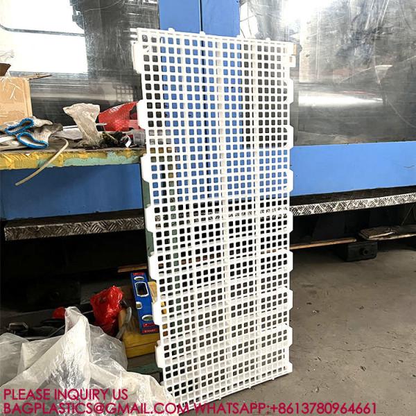Poultry Husbandry Animal Plastic Flooring Poultry Poultry Plastic Slat Plastic Slats Flooring