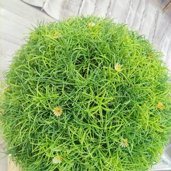 Home Office Decorative 55cm Artificial Potted Floor Plants Boxwood Ball