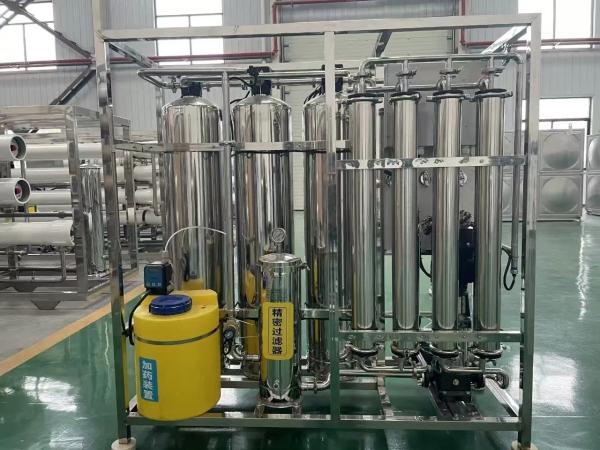 1000LPH Industrial RO Water Treatment System with Automatic Controls