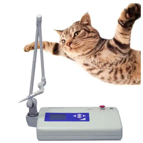 Portable Lcd Veterinary Co2 Laser For Animal Surgery Co2 Laser Surgical Device