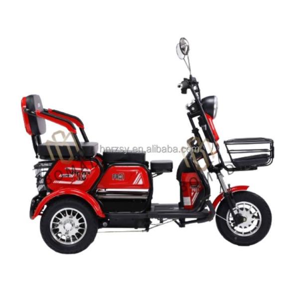 2024 Electric Tricycle Motorcycle Bike Three Wheel with Single Gross Weight of 75.000 kg and Voltage of 48V
