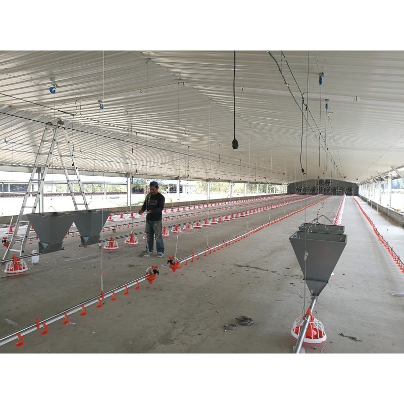 Prefabricated Steel Structure Chicken House / Poultry Farm House
