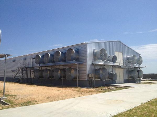 Q355B Structural Steel Frame for Industrial Warehouse Buildings