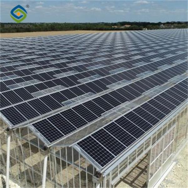 Double Layers Glass Cover Photovoltaic Greenhouse Solar Panel Greenhouse
