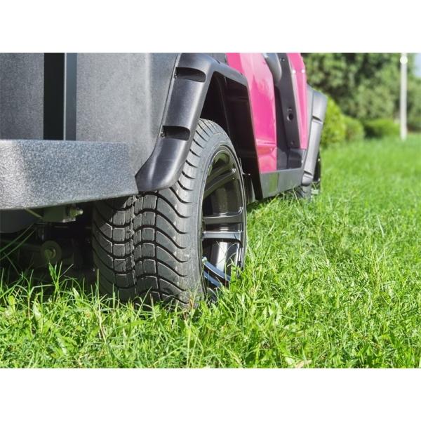 Pinky Golf Buggy 48V 2+2 Seater with Trojan Battery