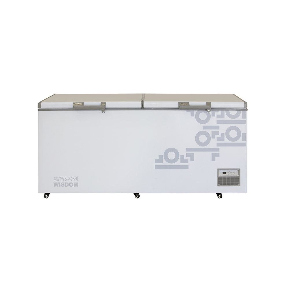 1150L Volume Commercial Freezer with Direct Cooling and High-Temp Resilience for Demanding Environments