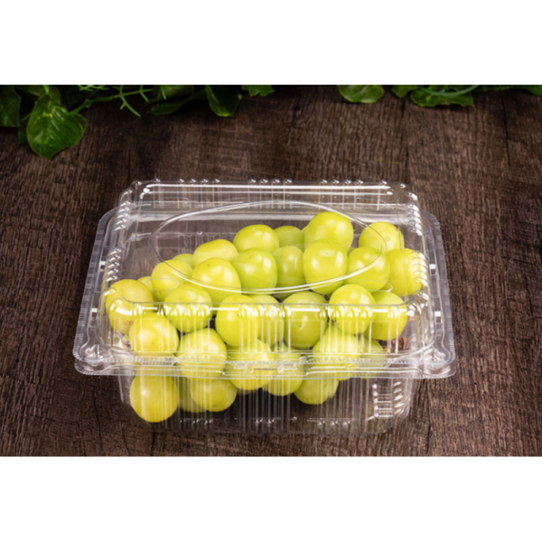 Customized Design Recyclable PET Blister Packaging with Heat Sealing for Transparent Fruit Packaging Box