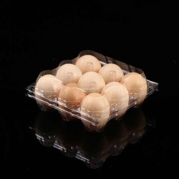 PET Plastic Sheet Roll Reusable Quail Egg Tray Plastic Transparent