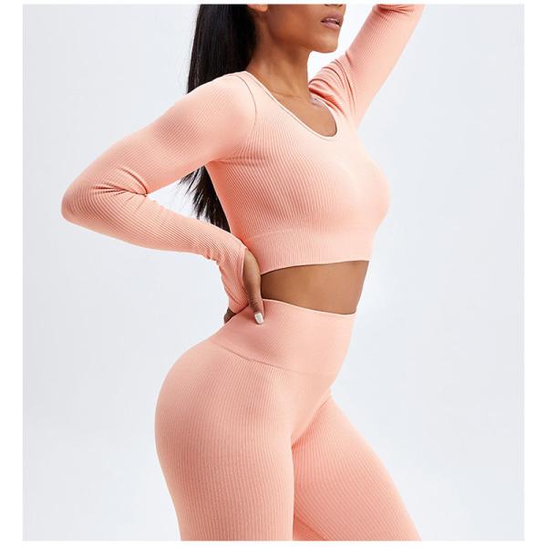 Stretchable женский набор йоги одевает гетры безшовного идущего ребристого урожая верхние