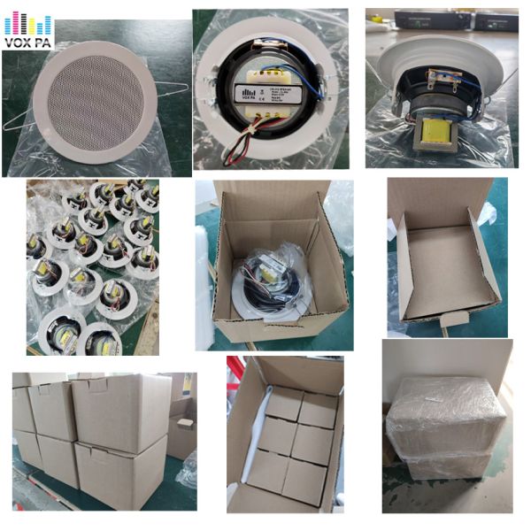 3-inch Economical Ceiling Speaker 6W Iron Material Sound Elegant Design OEM ODM for Office Hotel