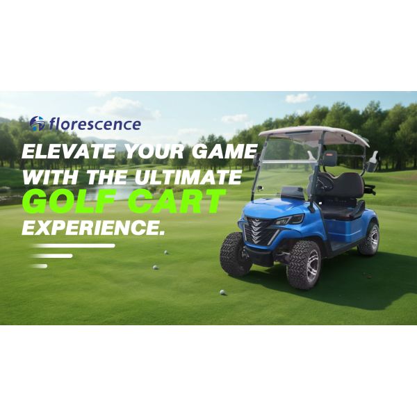 Electric 2 Seat Golf Cart with Cargo Box