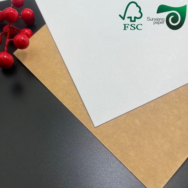 300gsm Dual  Tone Food  Safe Kraft Paper  Coated White Front  Brown Back For Sturdy Food Containers FSC