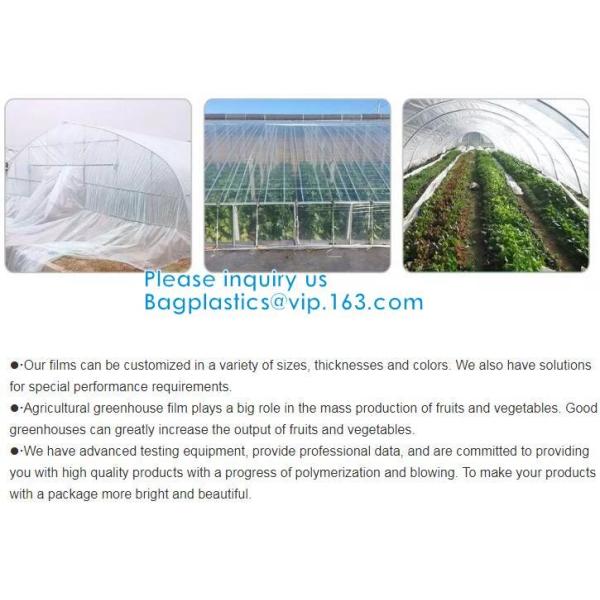200 Micron Uv Resistant Film Greenhouse Perforated Mulch Agricultural Film Vegetable Planting