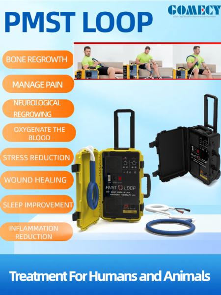 PMST Loop Pulsed Magnetic Therapy Machine com Loop de borboleta para aliviar a dor