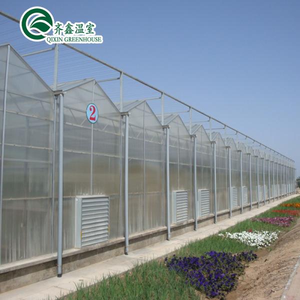 Polycarbonate Sheet Covering Transparent Solar Panels for Greenhouses in High Demand