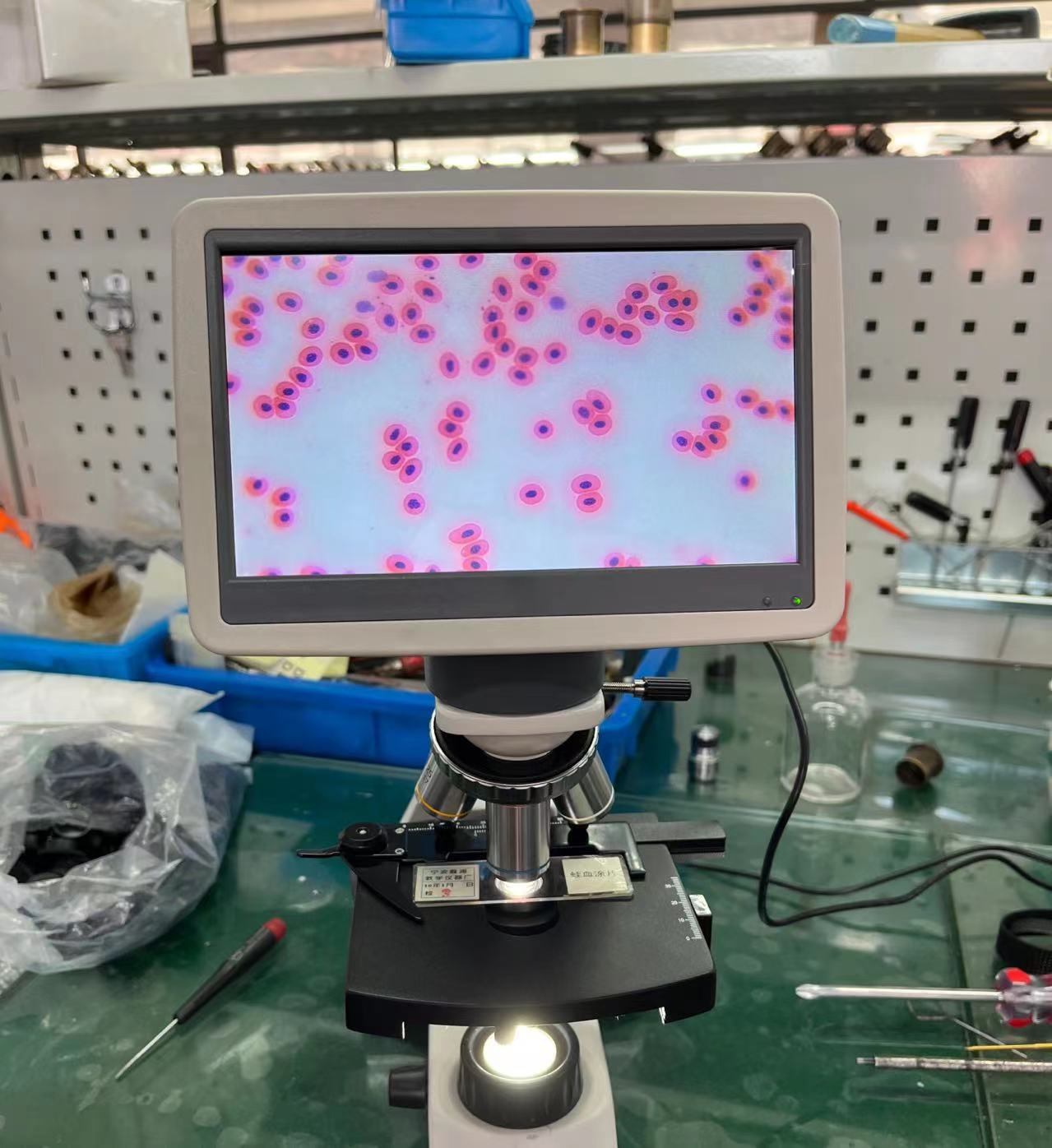 XSZ-177-7INCH Biological Microscope Student Microscope New Sale Manufacture
