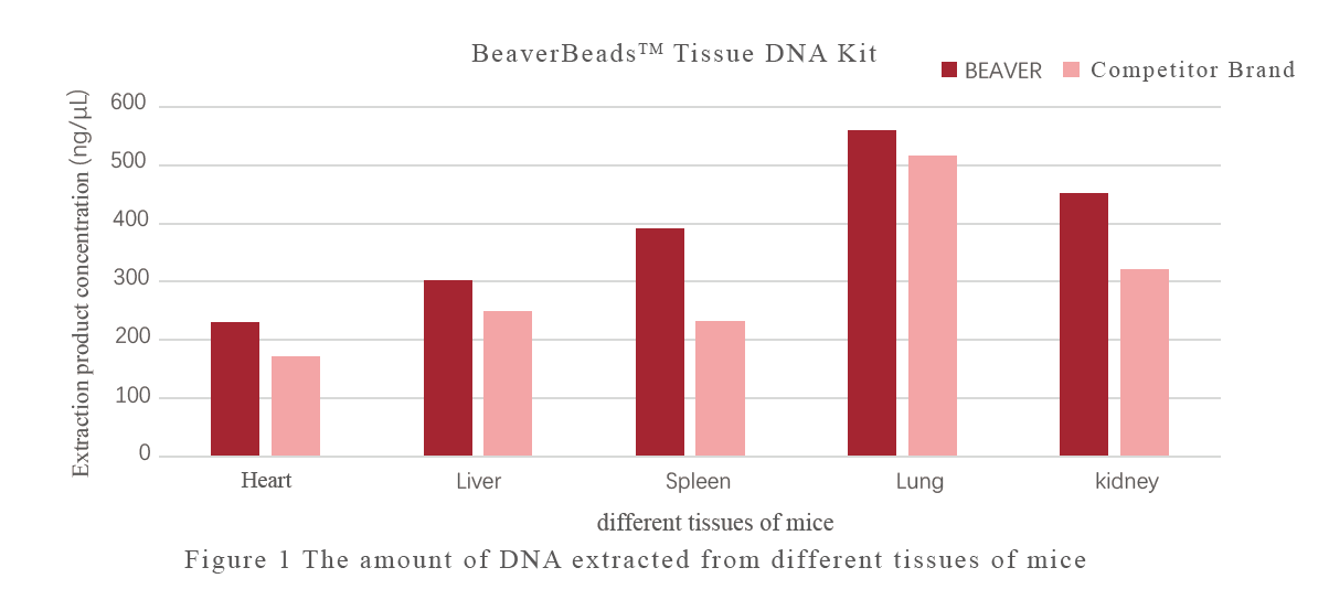 Особая чистота Rxns набора 20 ДНК ткани BeaverBeads для извлечения