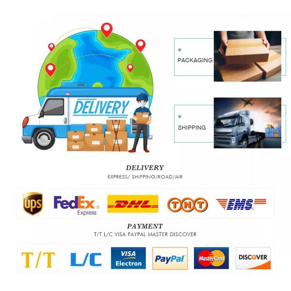 Mini Balanza Electrónica de Cocina para el Hogar, Capacidad de 5 kg, Funciona con Pilas, Pantalla LCD