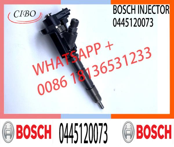Original Brand New Popular Common Rail Injector Diesel Fuel Injector 0445120073 Para Mitsubishi Canter 3.0L 2006