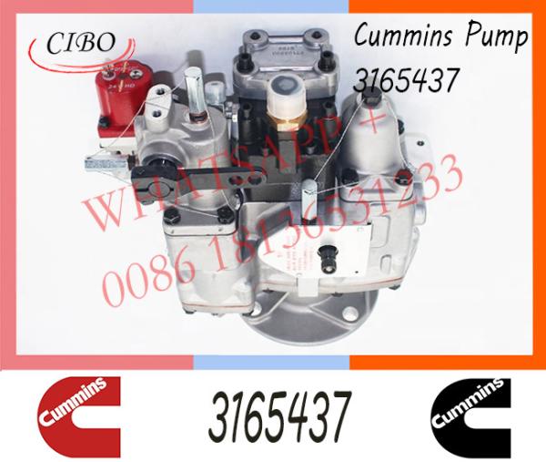 Diesel NT855-C280 Engine Parts For Truck Car PT Pump 3165437 3165468 3165621 3165655