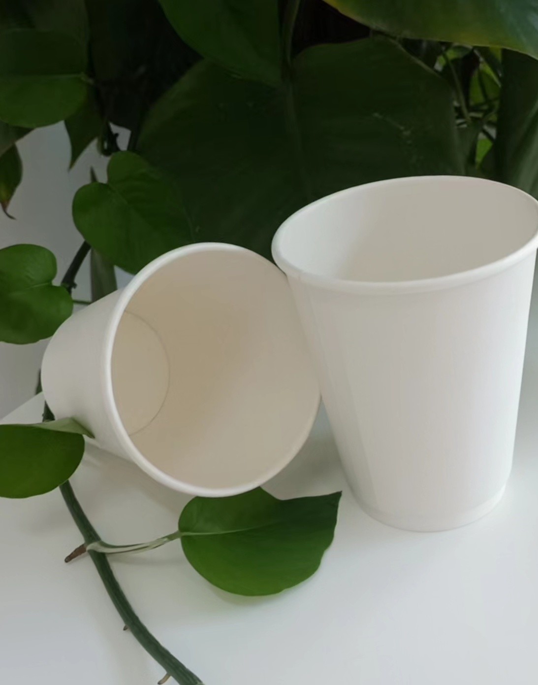 Disposable 12oz 300g 18PE 250 Double Wall Paper Cups 2.5oz-22oz Customized Request